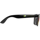 Vision sunglasses