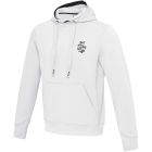 Arora 300 g/m2 unisex hoodie