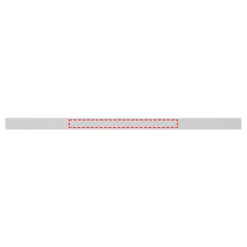 Print position ribbon