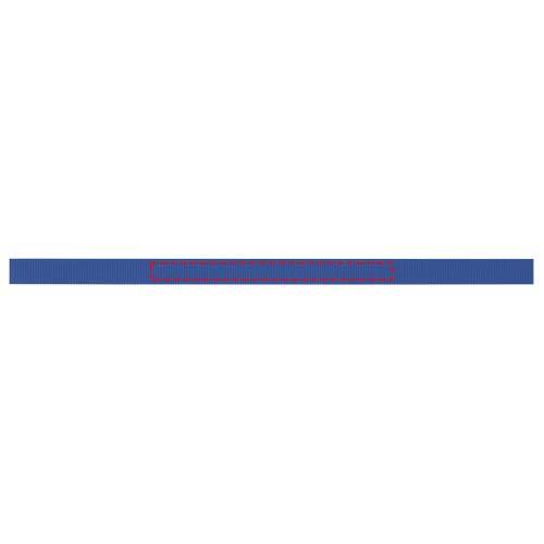 Print position ribbon
