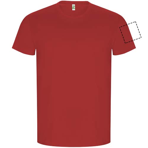 Print position Left bicep